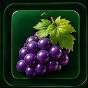 Grapes tile example